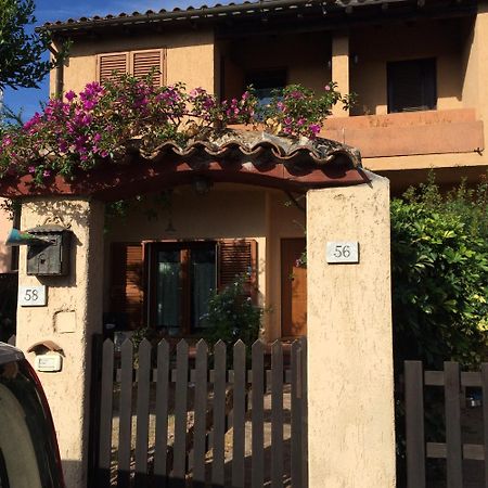 Antonio Rose Garden Apartment Olbia Ngoại thất bức ảnh
